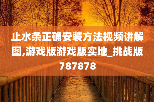 止水条正确安装方法视频讲解图,游戏版游戏版实地_挑战版787878