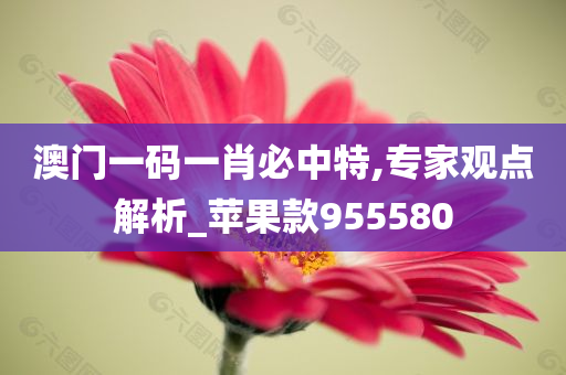 澳门一码一肖必中特,专家观点解析_苹果款955580