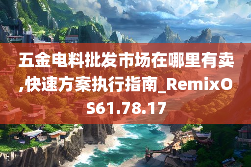 五金电料批发市场在哪里有卖,快速方案执行指南_RemixOS61.78.17