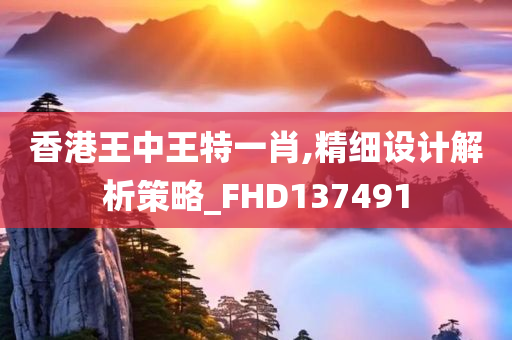 香港王中王特一肖,精细设计解析策略_FHD137491