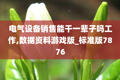 电气设备销售能干一辈子吗工作,数据资料游戏版_标准版7876