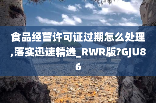 食品经营许可证过期怎么处理,落实迅速精选_RWR版?GJU86