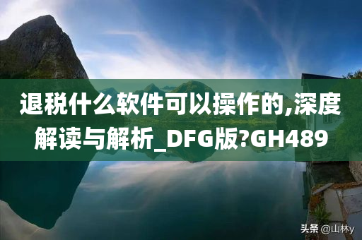 退税什么软件可以操作的,深度解读与解析_DFG版?GH489