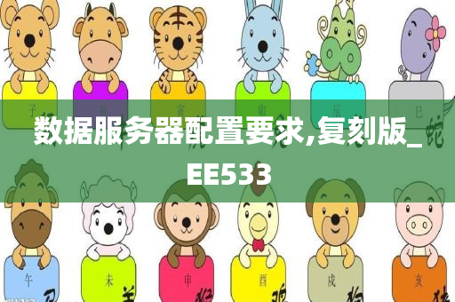 数据服务器配置要求,复刻版_EE533