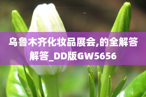 乌鲁木齐化妆品展会,的全解答解答_DD版GW5656