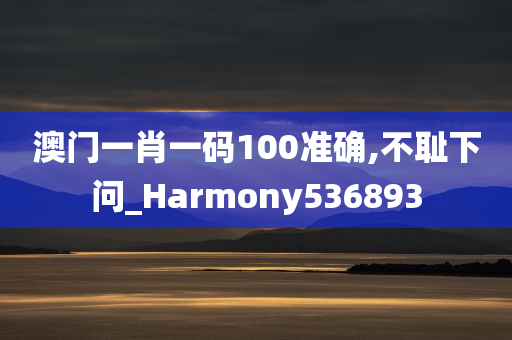 澳门一肖一码100准确,不耻下问_Harmony536893