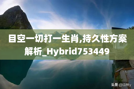 目空一切打一生肖,持久性方案解析_Hybrid753449