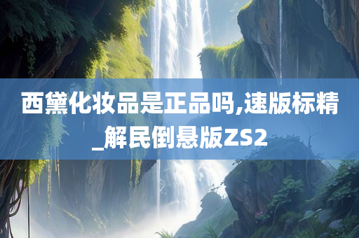 西黛化妆品是正品吗,速版标精_解民倒悬版ZS2