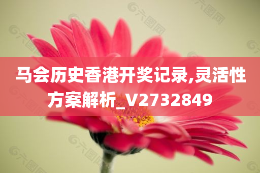 马会历史香港开奖记录,灵活性方案解析_V2732849