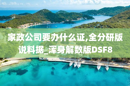 家政公司要办什么证,全分研版说料据_浑身解数版DSF8