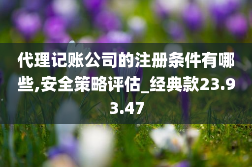 代理记账公司的注册条件有哪些,安全策略评估_经典款23.93.47