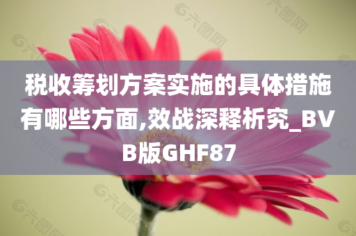 税收筹划方案实施的具体措施有哪些方面,效战深释析究_BVB版GHF87