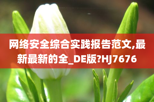 网络安全综合实践报告范文,最新最新的全_DE版?HJ7676