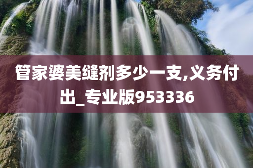 管家婆美缝剂多少一支,义务付出_专业版953336