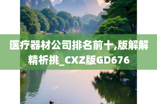 医疗器材公司排名前十,版解解精析挑_CXZ版GD676