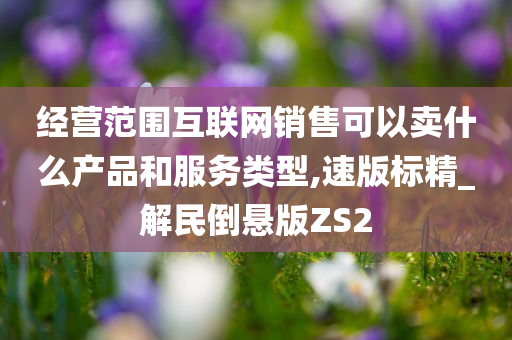 经营范围互联网销售可以卖什么产品和服务类型,速版标精_解民倒悬版ZS2