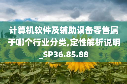 计算机软件及辅助设备零售属于哪个行业分类,定性解析说明_SP36.85.88