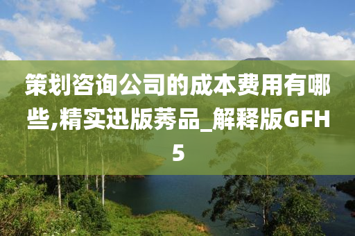 策划咨询公司的成本费用有哪些,精实迅版莠品_解释版GFH5