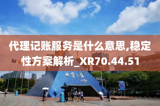 代理记账服务是什么意思,稳定性方案解析_XR70.44.51