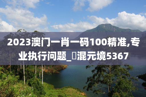 2023澳门一肖一码100精准,专业执行问题_‌混元境5367