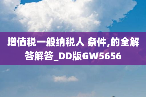 增值税一般纳税人 条件,的全解答解答_DD版GW5656