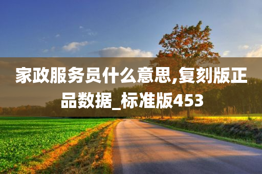 家政服务员什么意思,复刻版正品数据_标准版453