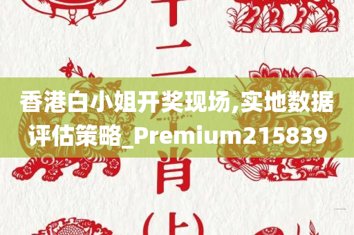 香港白小姐开奖现场,实地数据评估策略_Premium215839