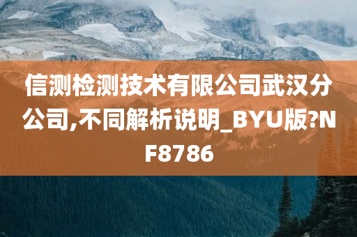 信测检测技术有限公司武汉分公司,不同解析说明_BYU版?NF8786