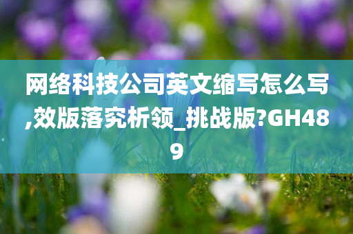 网络科技公司英文缩写怎么写,效版落究析领_挑战版?GH489