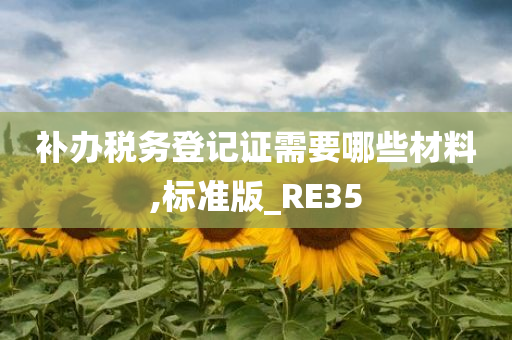 补办税务登记证需要哪些材料,标准版_RE35