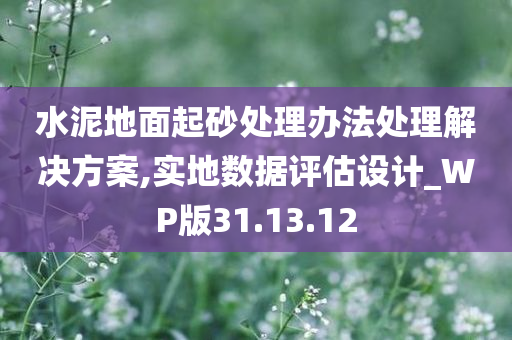 水泥地面起砂处理办法处理解决方案,实地数据评估设计_WP版31.13.12