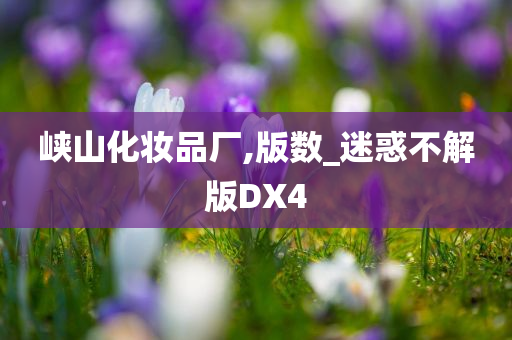 峡山化妆品厂,版数_迷惑不解版DX4