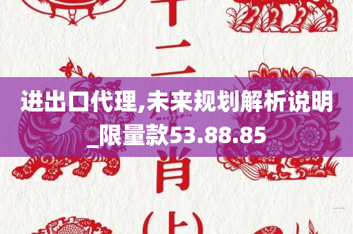 进出口代理,未来规划解析说明_限量款53.88.85