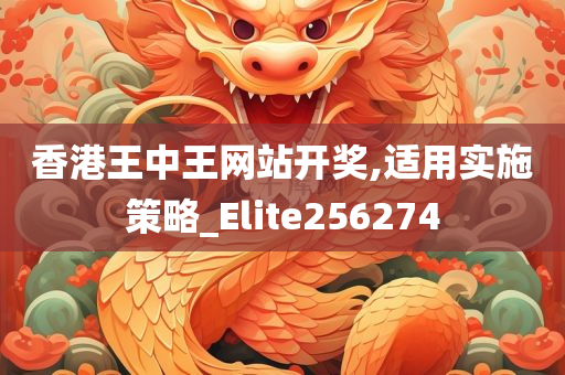 香港王中王网站开奖,适用实施策略_Elite256274