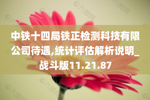 中铁十四局铁正检测科技有限公司待遇,统计评估解析说明_战斗版11.21.87