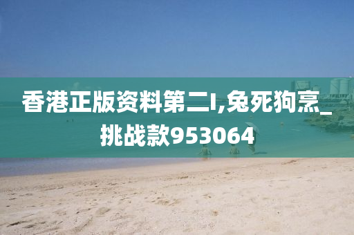 香港正版资料第二I,兔死狗烹_挑战款953064