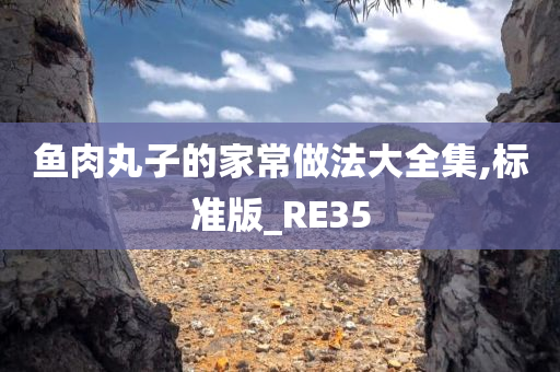 鱼肉丸子的家常做法大全集,标准版_RE35