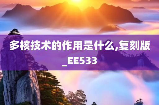 多核技术的作用是什么,复刻版_EE533