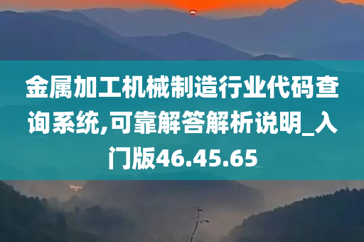 金属加工机械制造行业代码查询系统,可靠解答解析说明_入门版46.45.65