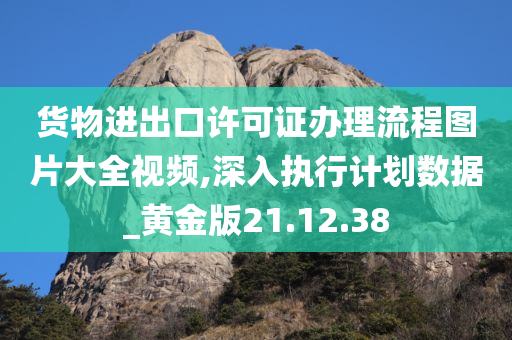 货物进出口许可证办理流程图片大全视频,深入执行计划数据_黄金版21.12.38