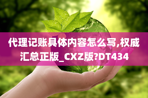 代理记账具体内容怎么写,权威汇总正版_CXZ版?DT434