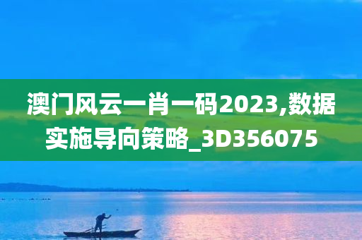 澳门风云一肖一码2023,数据实施导向策略_3D356075