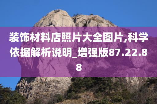 装饰材料店照片大全图片,科学依据解析说明_增强版87.22.88