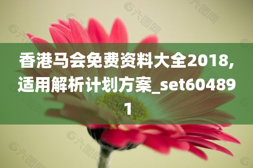 香港马会免费资料大全2018,适用解析计划方案_set604891