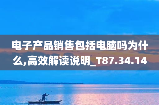 电子产品销售包括电脑吗为什么,高效解读说明_T87.34.14