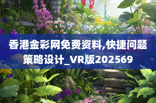 香港金彩网免费资料,快捷问题策略设计_VR版202569