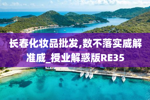 长春化妆品批发,数不落实威解准威_授业解惑版RE35