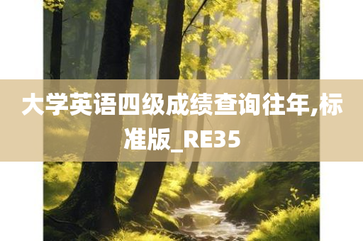 大学英语四级成绩查询往年,标准版_RE35