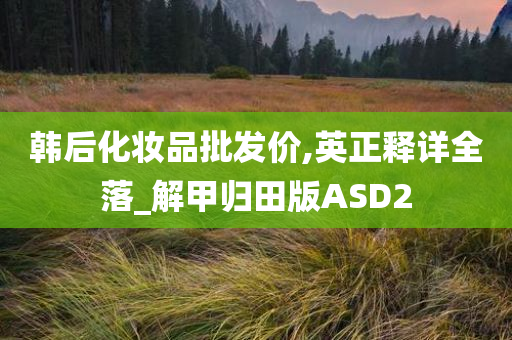 韩后化妆品批发价,英正释详全落_解甲归田版ASD2