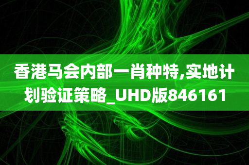 香港马会内部一肖种特,实地计划验证策略_UHD版846161